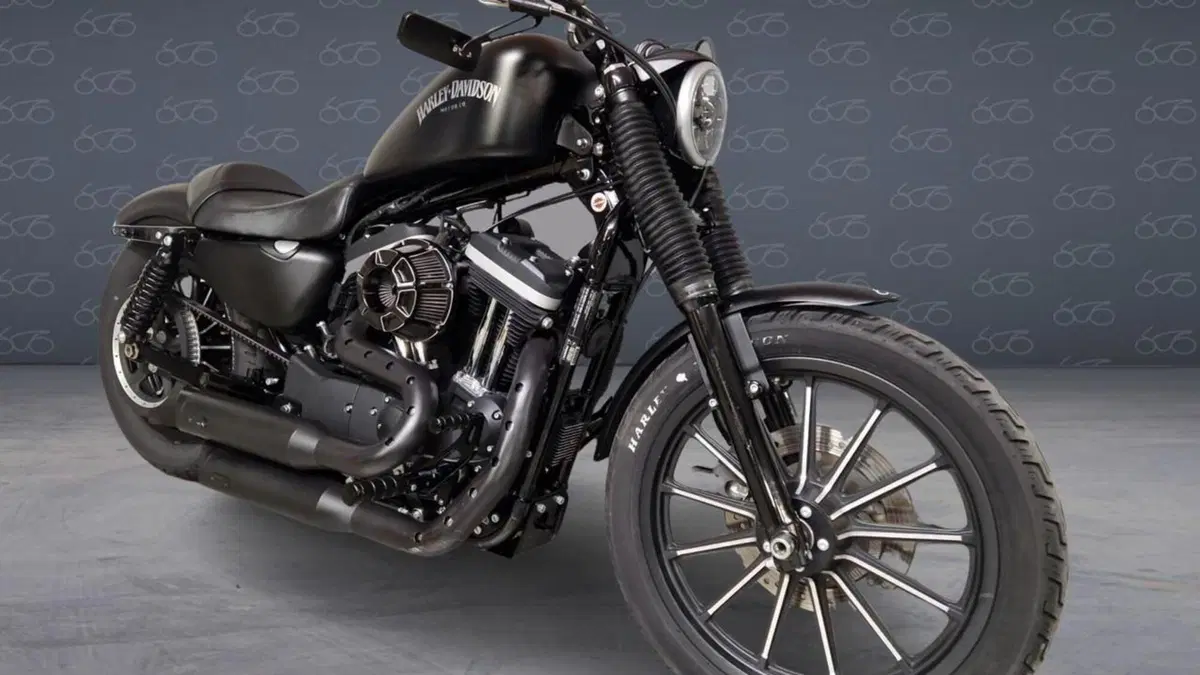 Harley-Davidson 883 Iron (2012 - 14) - XL 883N  (2)