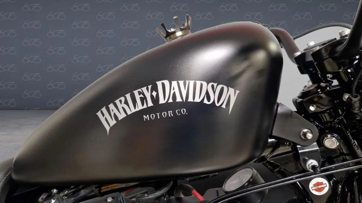 Harley-Davidson 883 Iron (2012 - 14) - XL 883N  (6)