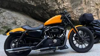 Harley-Davidson 883 Iron (2009 - 11) - XL 883N usata