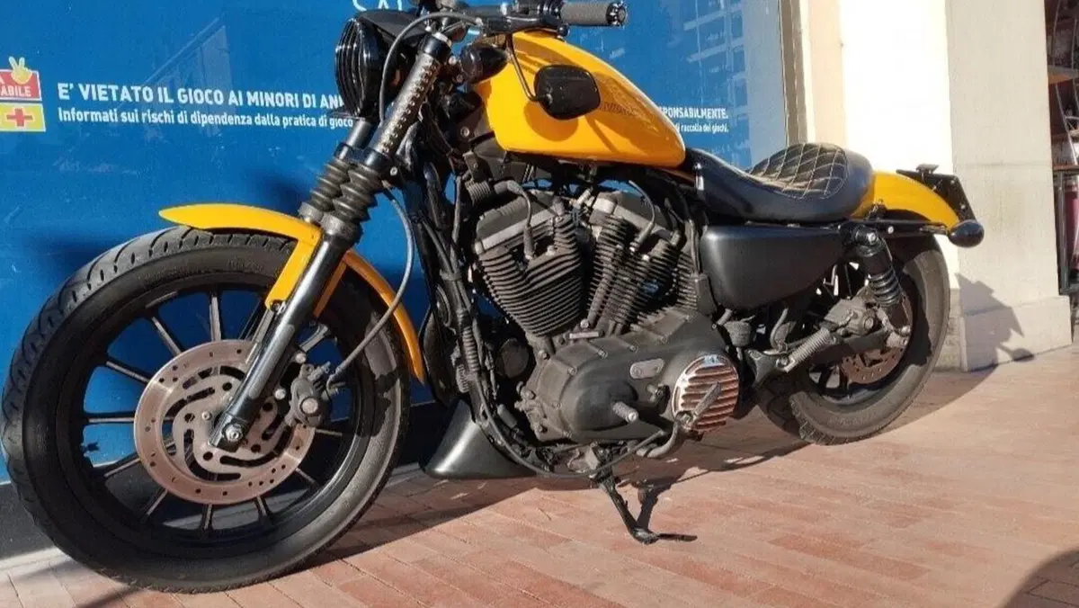 Harley-Davidson 883 Iron (2009 - 11) - XL 883N  (2)