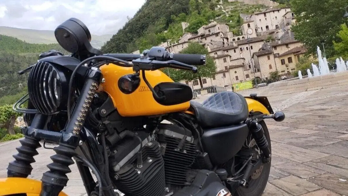 Harley-Davidson 883 Iron (2009 - 11) - XL 883N  (3)