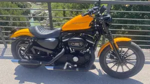 Harley-Davidson 883 Iron (2009 - 11) - XL 883N  (4)