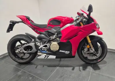 Ducati Panigale V4 S (2025 - 26) - Annuncio 10116452