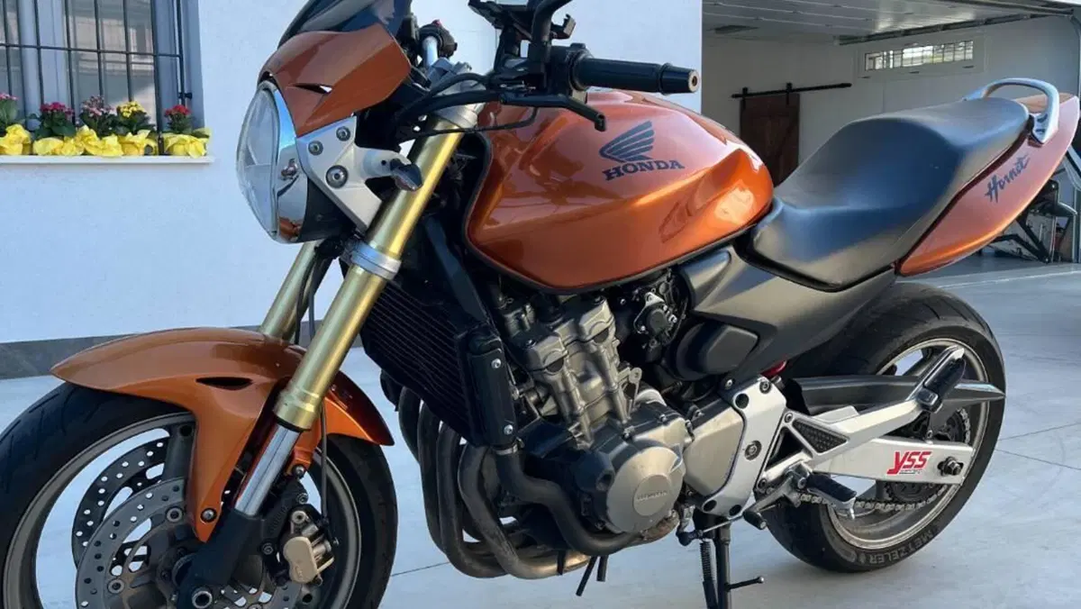 Honda Hornet 600 (2005 - 06)  (3)