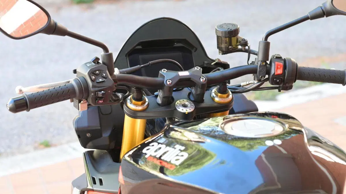 Aprilia Tuono V4 Factory (2021 - 24)  (7)