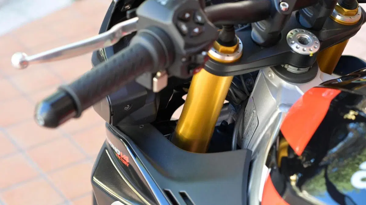 Aprilia Tuono V4 Factory (2021 - 24)  (15)