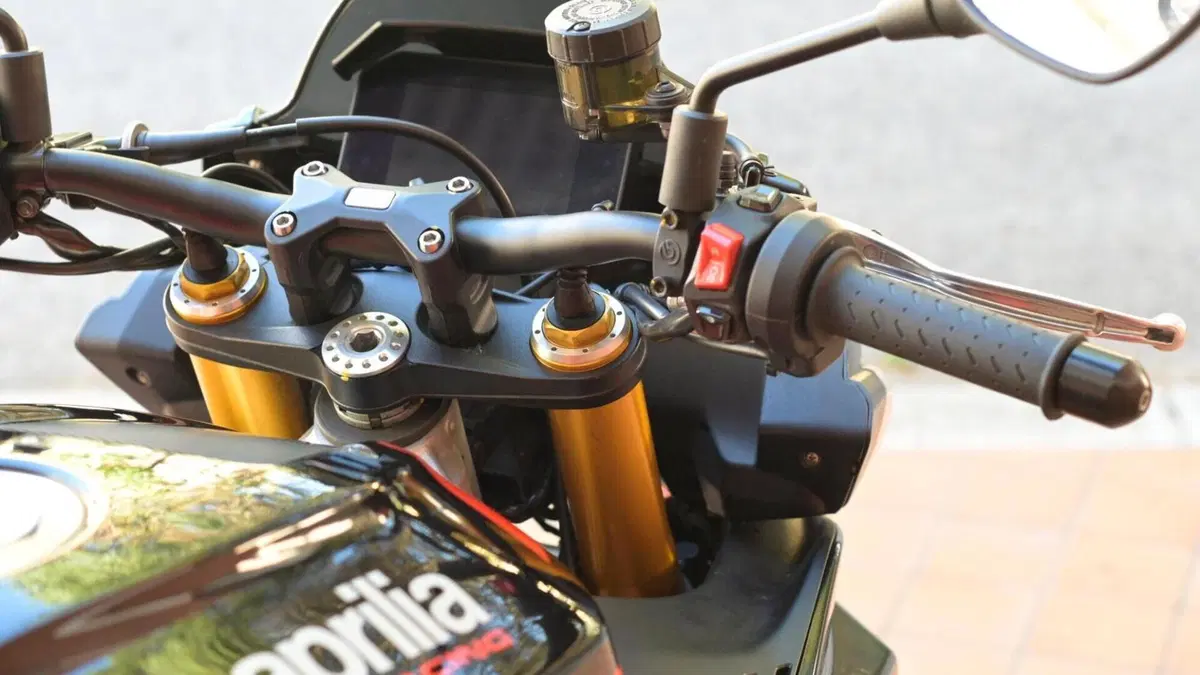 Aprilia Tuono V4 Factory (2021 - 24)  (17)