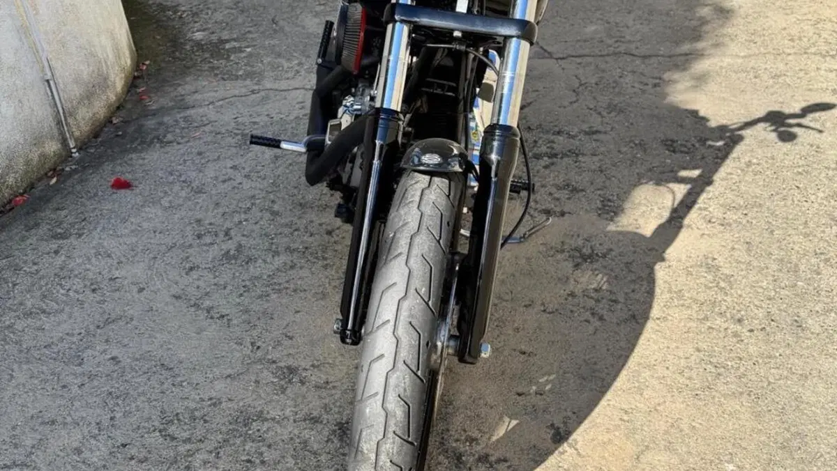 Harley-Davidson 1584 Street Bob (2008 - 15) - FXDB  (3)