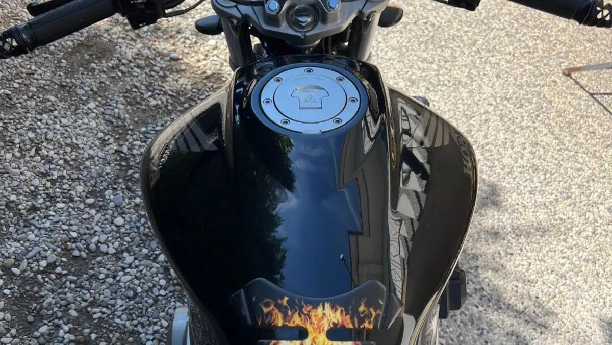 Honda Hornet 600 (2003 - 04)  (5)