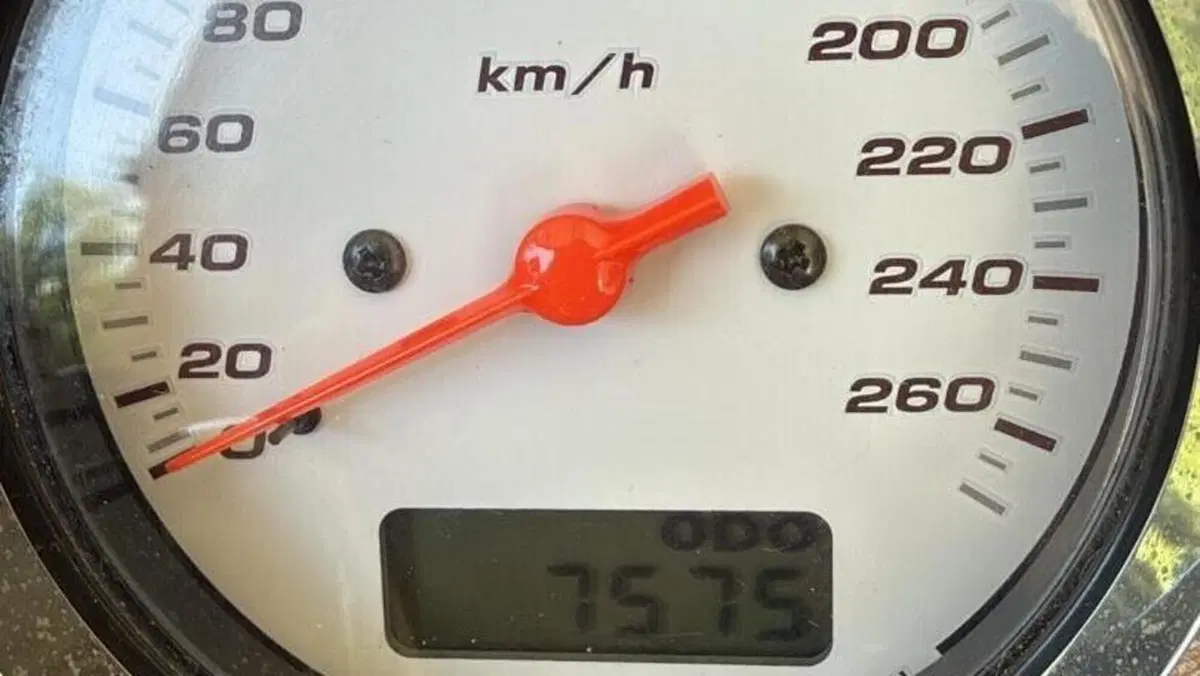 Honda Hornet 600 (2003 - 04)  (7)