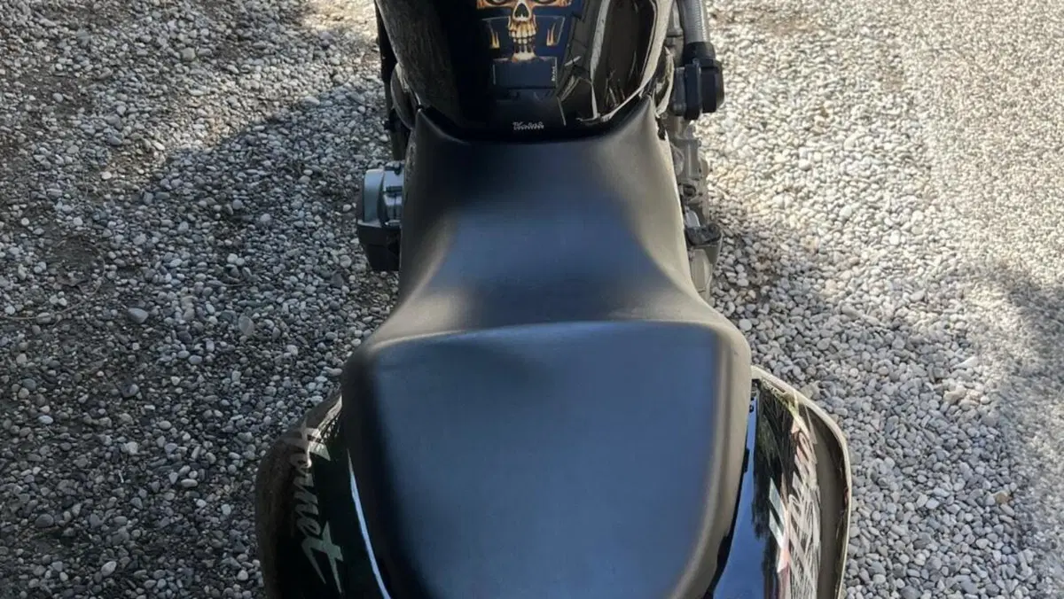 Honda Hornet 600 (2003 - 04)  (8)