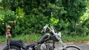 Harley-Davidson  