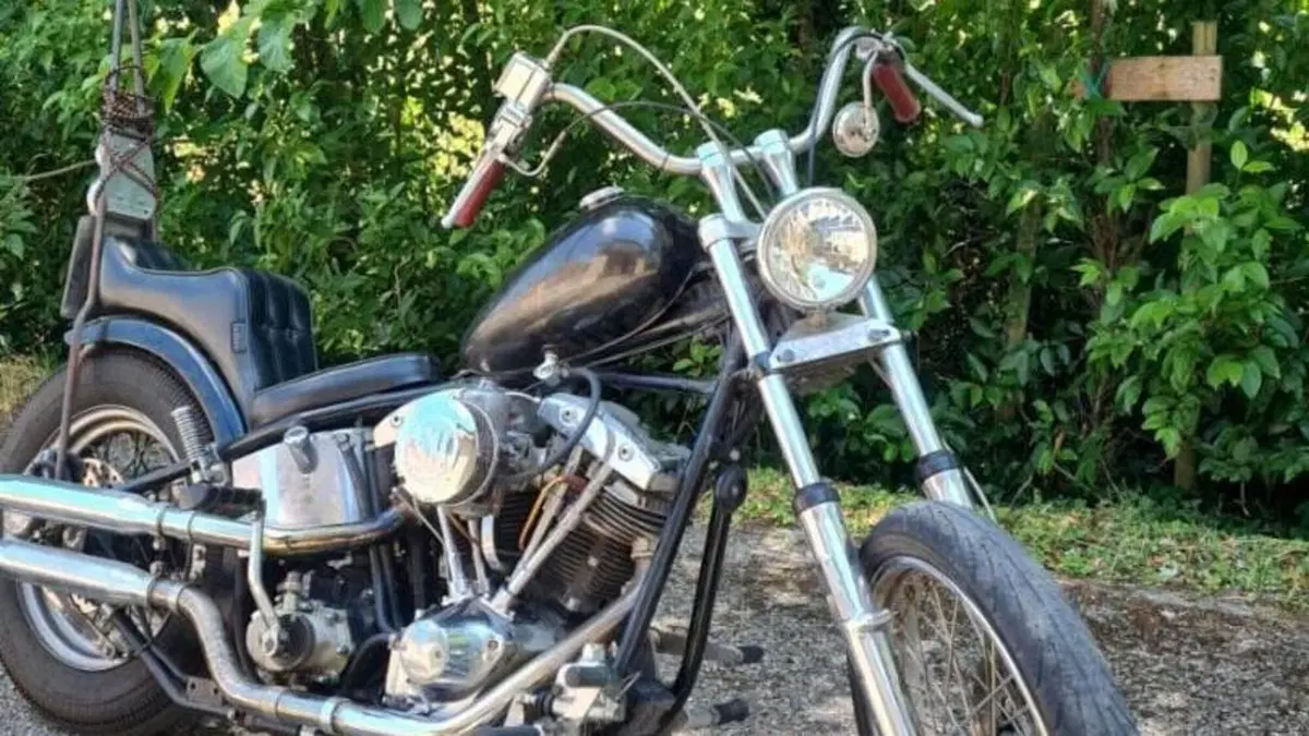 Harley-Davidson   (2)