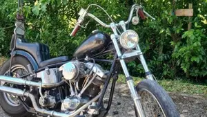 Harley-Davidson   (2)