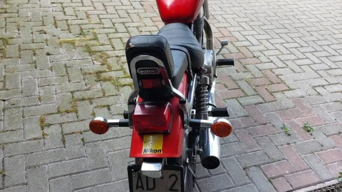 Suzuki LS 650 P Savage (2000 - 02)  (3)