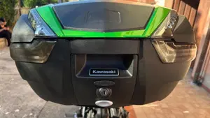 Kawasaki Versys 650 (2021 - 24)  (14)