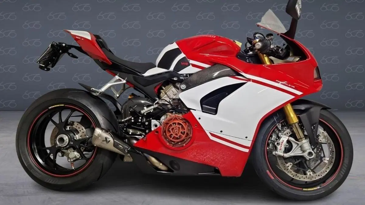 Ducati Panigale V4 S 1100 (2018 - 19) 