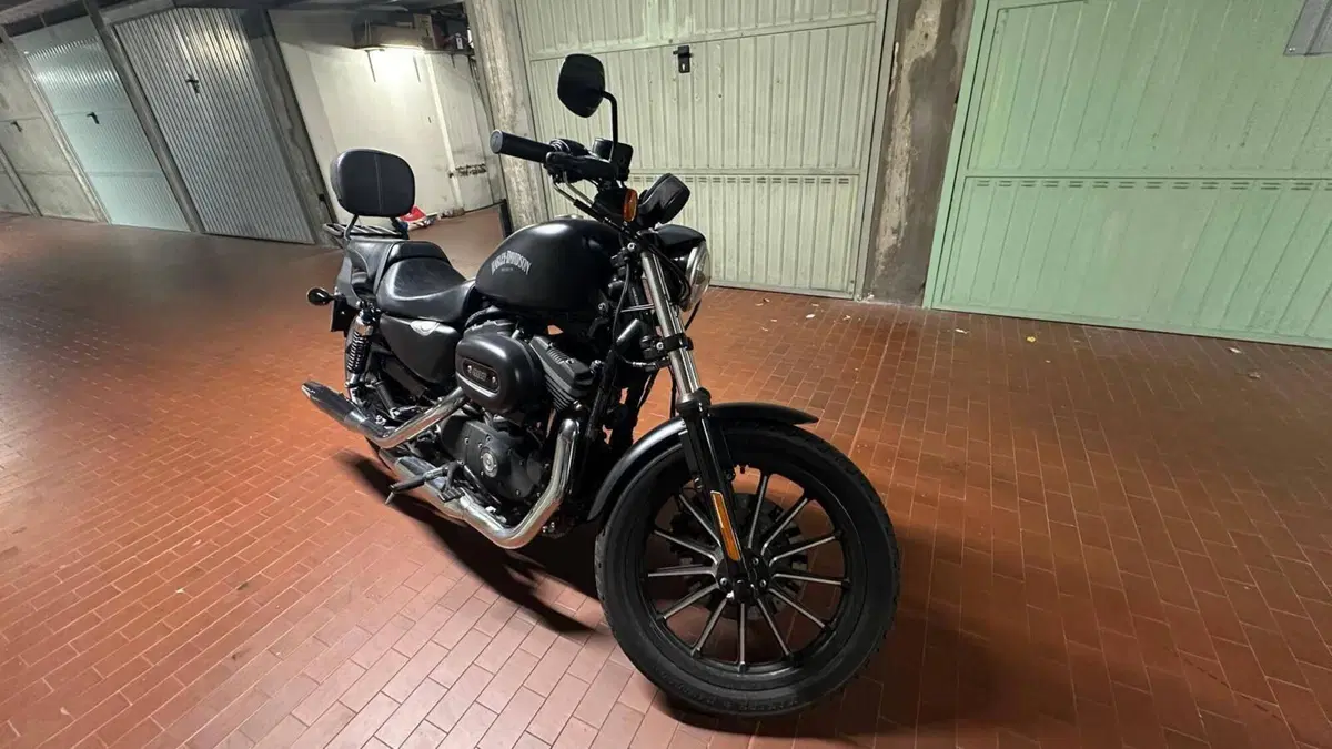 Harley-Davidson 883 R (2008 - 16) - XL 883R  (2)