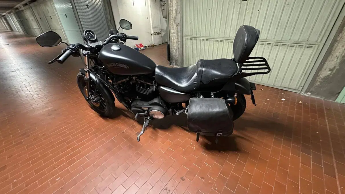 Harley-Davidson 883 R (2008 - 16) - XL 883R  (3)