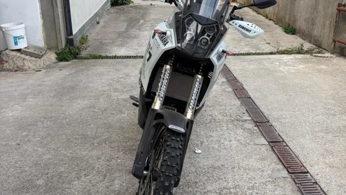 Yamaha Ténéré 700 (2019 - 20)  (2)