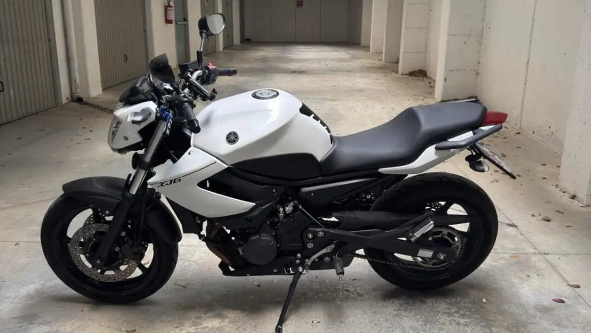 Yamaha XJ6 (2008 - 15)  (2)