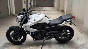 Yamaha XJ6 (2008 - 15)  (2)