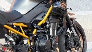 Kawasaki Z 900 A2 (2025 - 26)  (5)