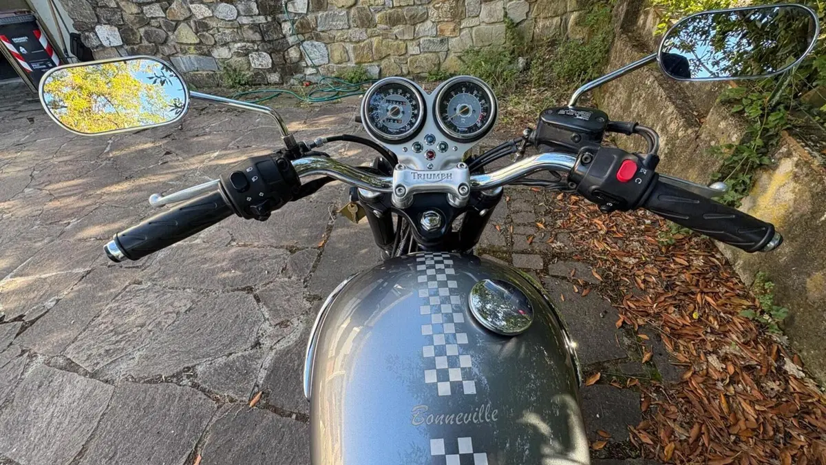 Triumph Bonneville T100 (2001 - 07)  (6)