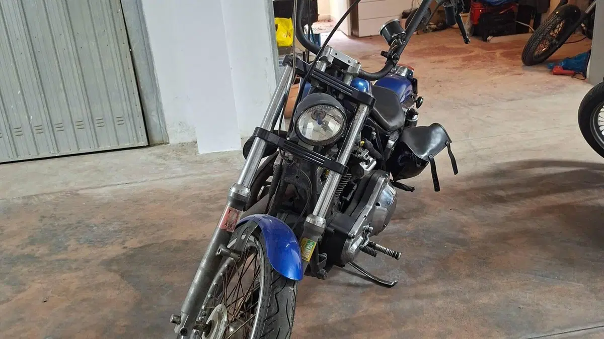 Harley-Davidson   (2)