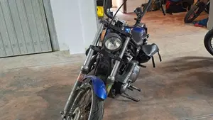 Harley-Davidson   (2)