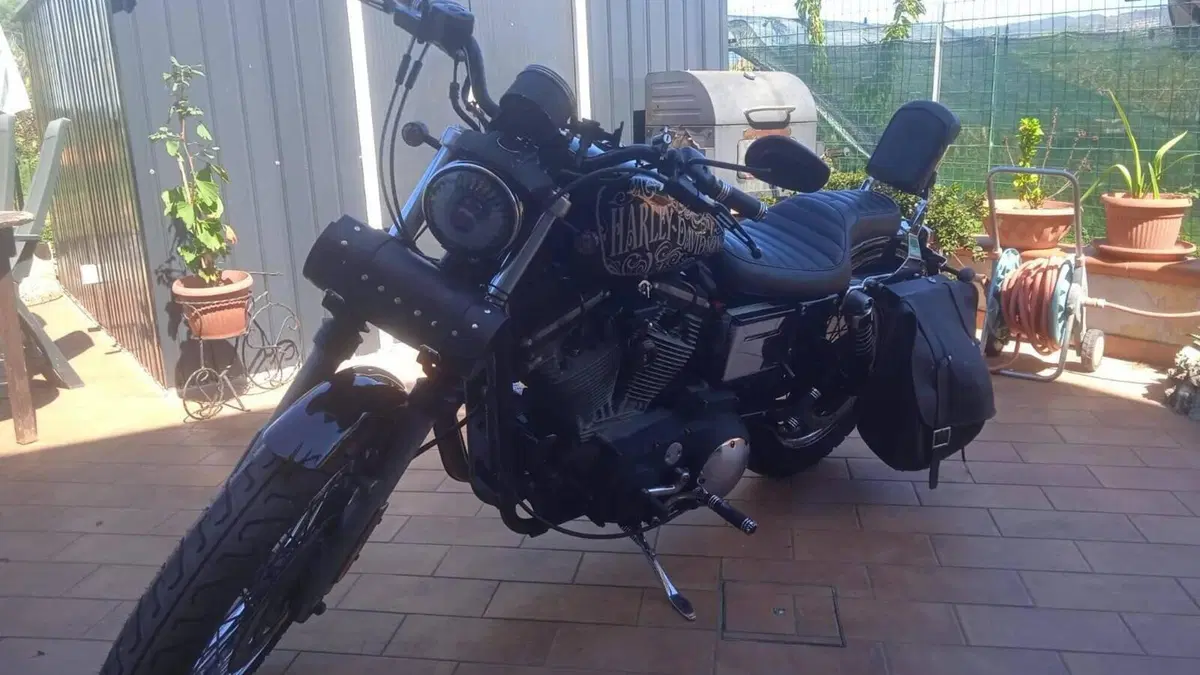 Harley-Davidson 883 Hugger (2001 - 02) - XLH  (4)