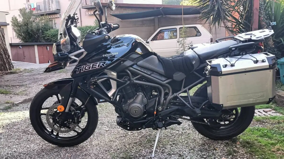 Triumph Tiger 800 XRx (2018 - 20)  (2)
