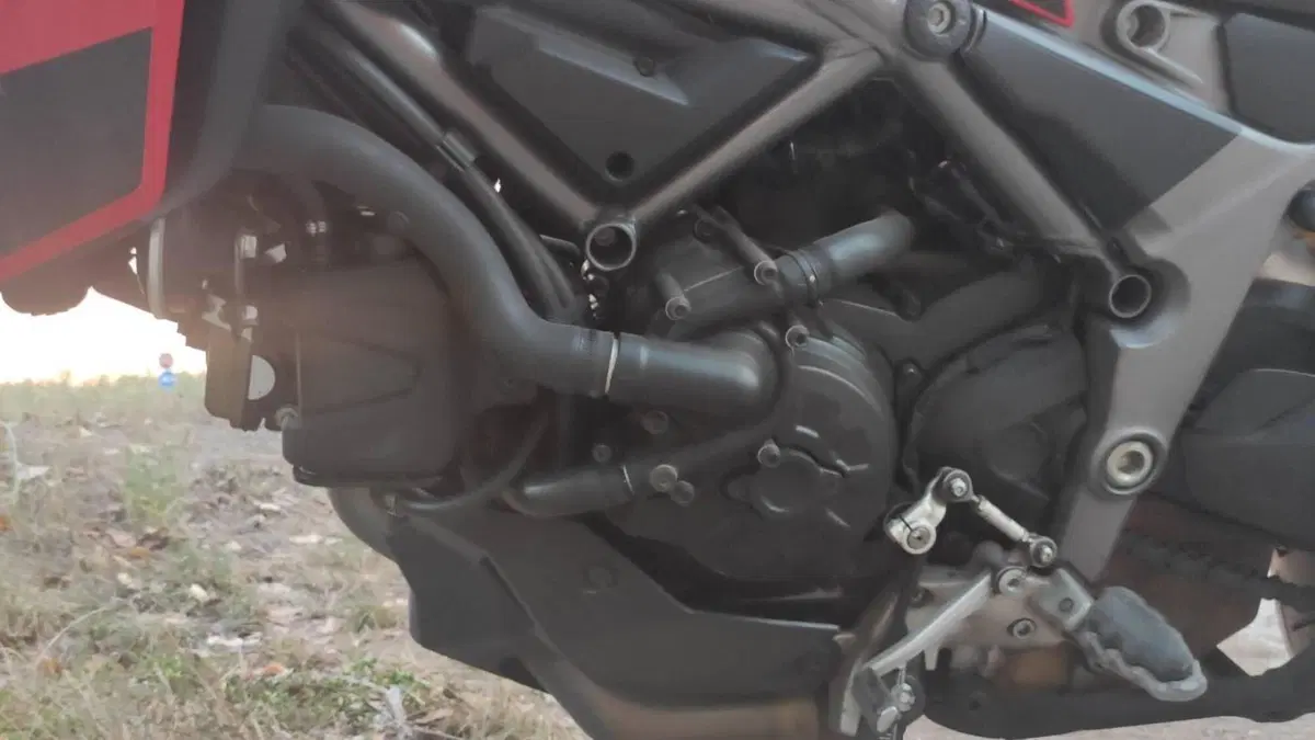 Ducati Multistrada 950 (2019 - 20)  (5)