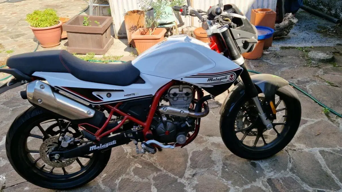 Malaguti Monte Pro 125 (2019 - 20)  (4)