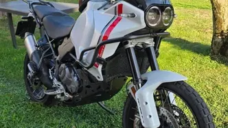 Ducati DesertX (2022 - 25) usata