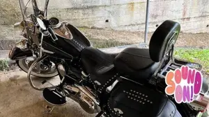 Harley-Davidson 1690 Heritage Classic (2011 - 17) - FLSTC  (5)
