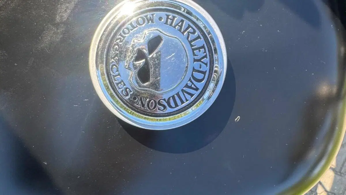 Harley-Davidson 883 Iron (2014 - 16) - XL 883N  (15)