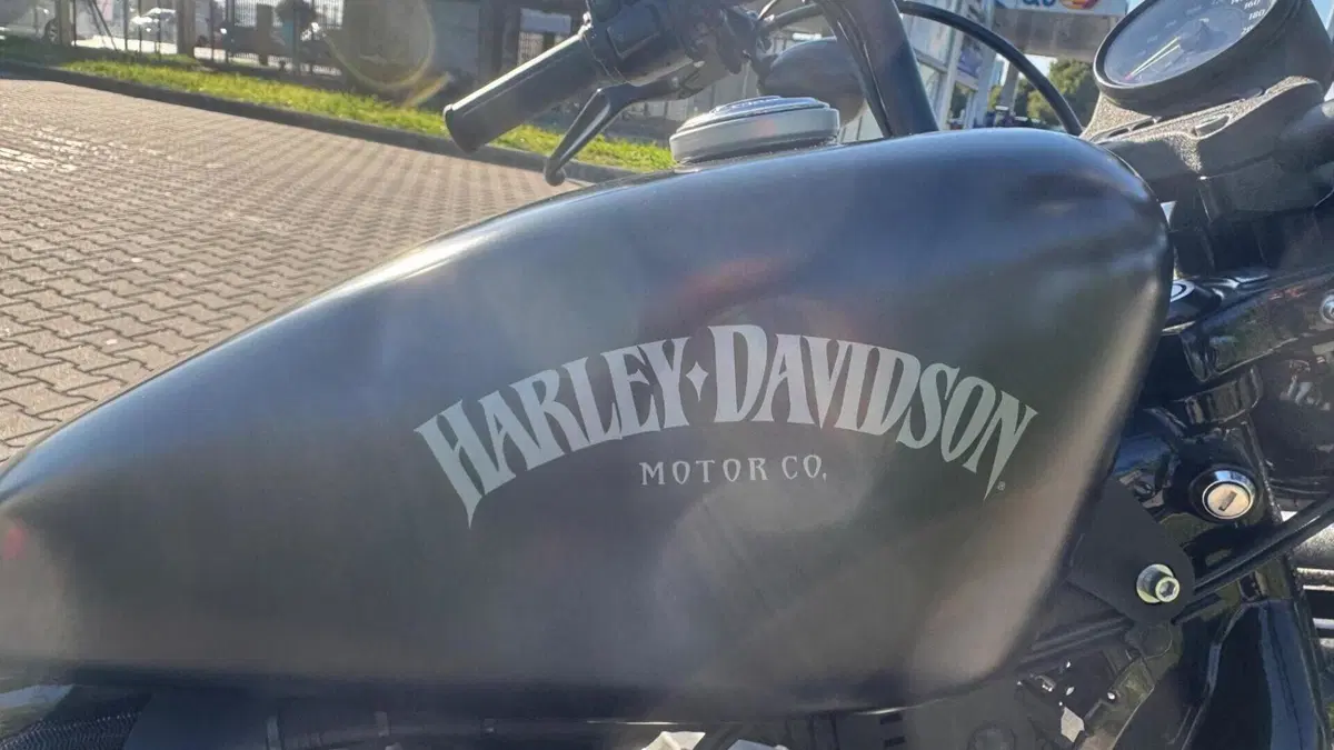 Harley-Davidson 883 Iron (2014 - 16) - XL 883N  (5)
