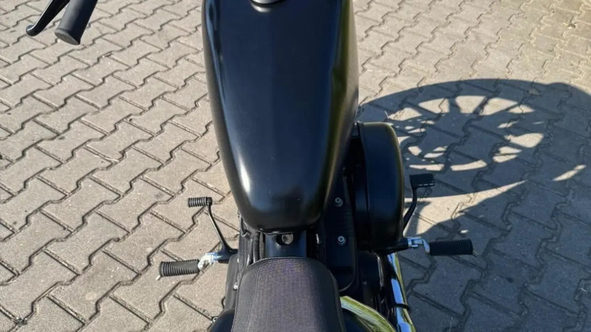 Harley-Davidson 883 Iron (2014 - 16) - XL 883N  (6)