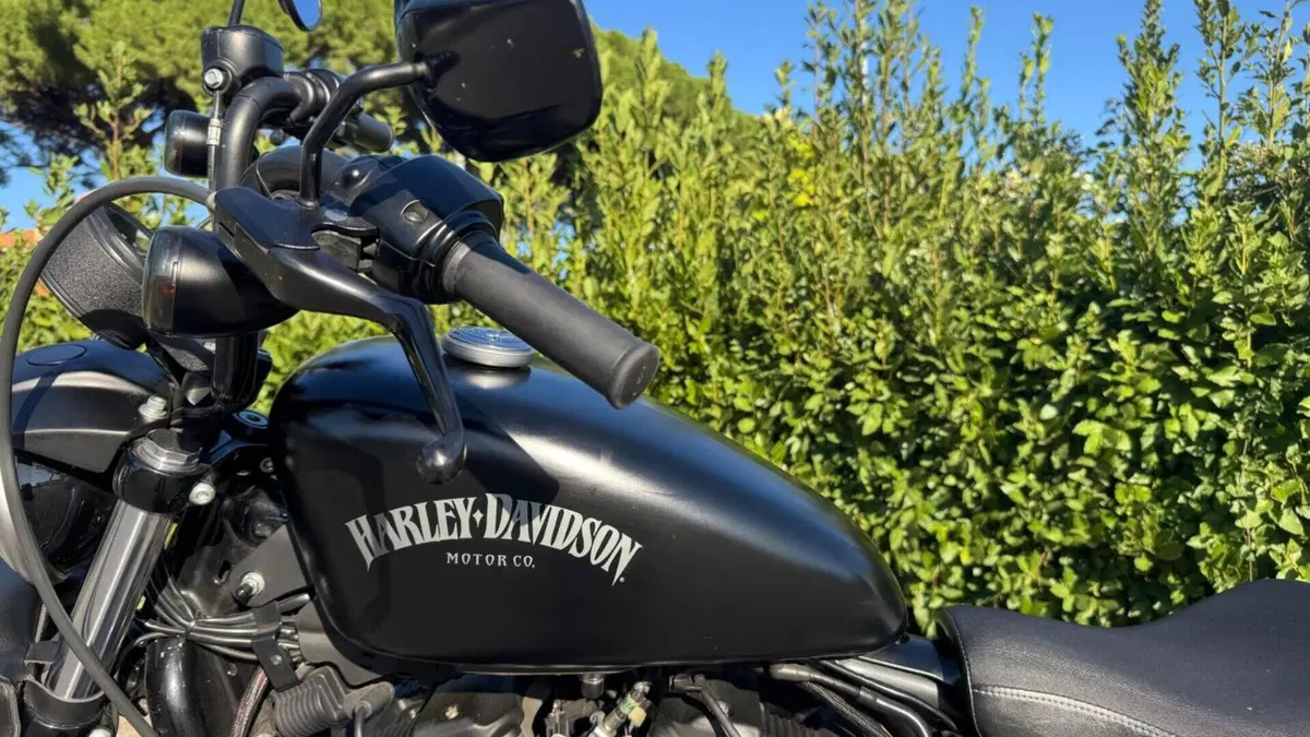 Harley-Davidson 883 Iron (2014 - 16) - XL 883N  (8)
