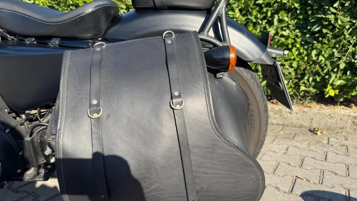 Harley-Davidson 883 Iron (2014 - 16) - XL 883N  (13)