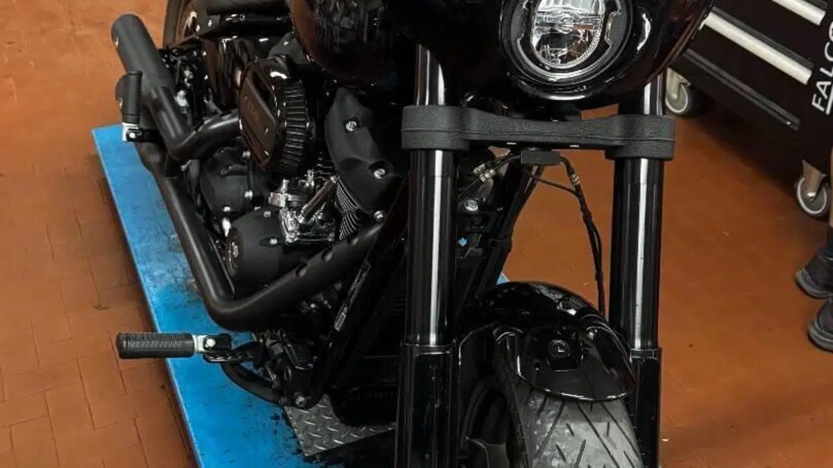Harley-Davidson 114 Low Rider S (2020) - FXLRS  (9)