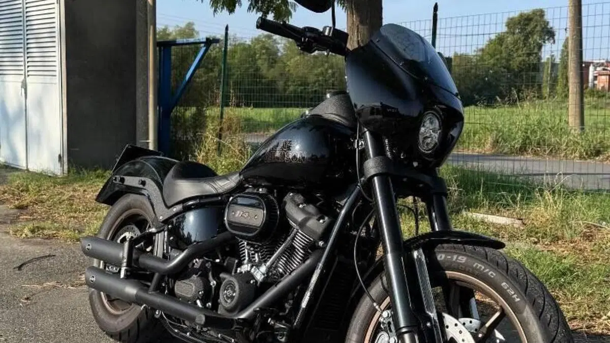 Harley-Davidson 114 Low Rider S (2020) - FXLRS  (2)