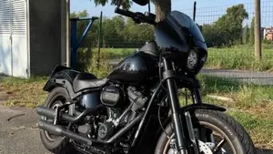 Harley-Davidson 114 Low Rider S (2020) - FXLRS  (2)