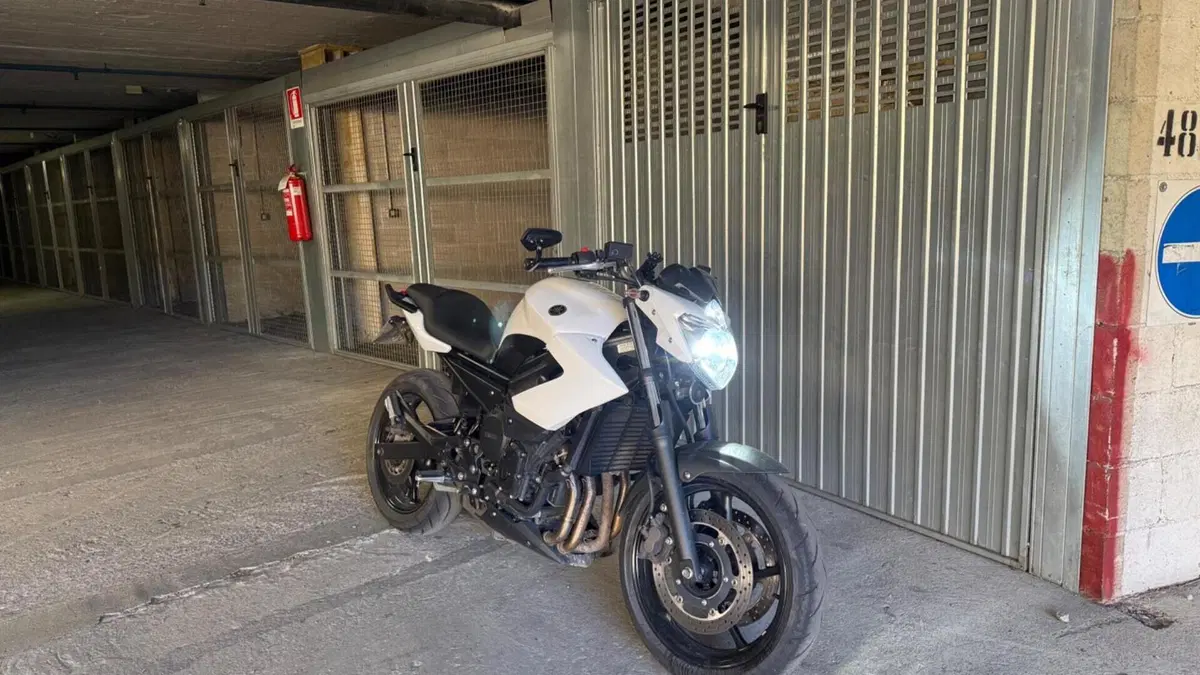 Yamaha XJ6 (2008 - 15) 