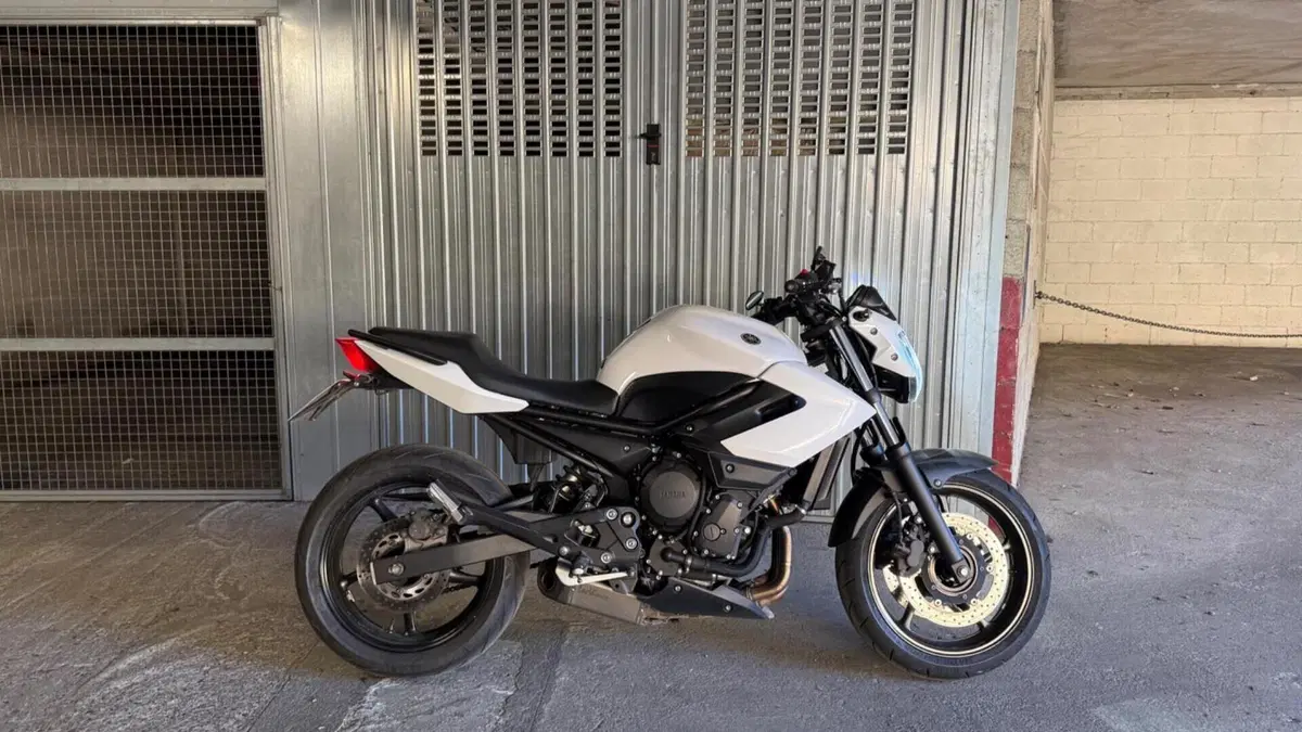 Yamaha XJ6 (2008 - 15)  (2)