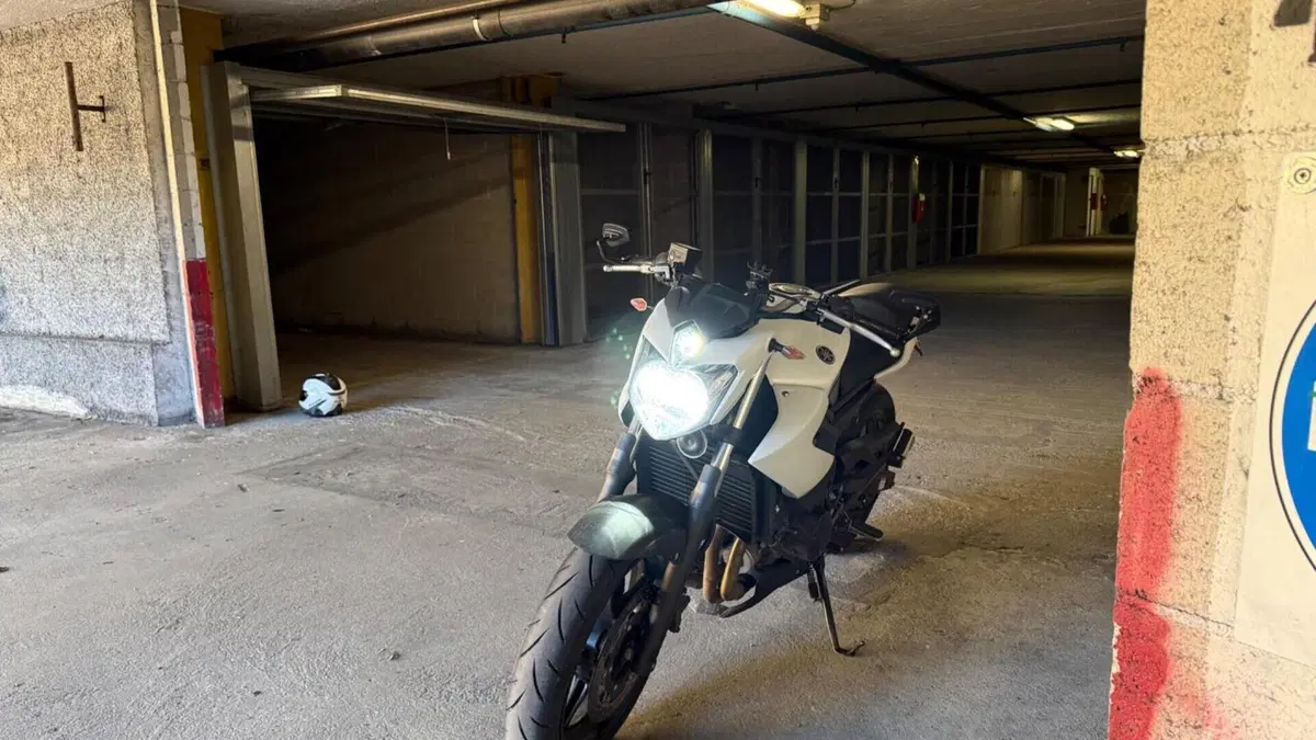 Yamaha XJ6 (2008 - 15)  (6)