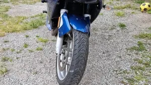 Bmw F 800 ST  (7)
