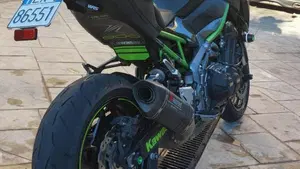 Kawasaki Z 900 Performance (2019)  (4)