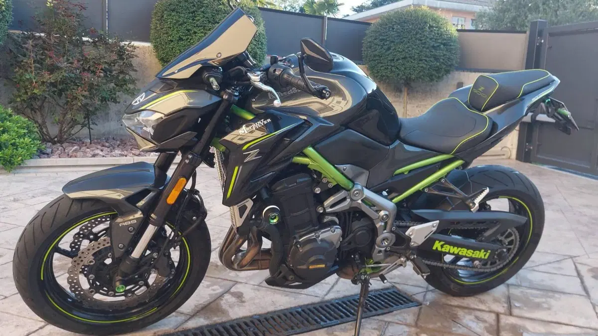 Kawasaki Z 900 Performance (2019)  (2)